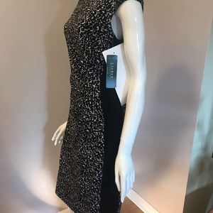 NWT Lauren Ralph Lauren Summer Dress